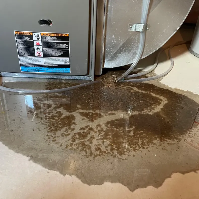 Appliance Leak Cleanup in Rangely, CO