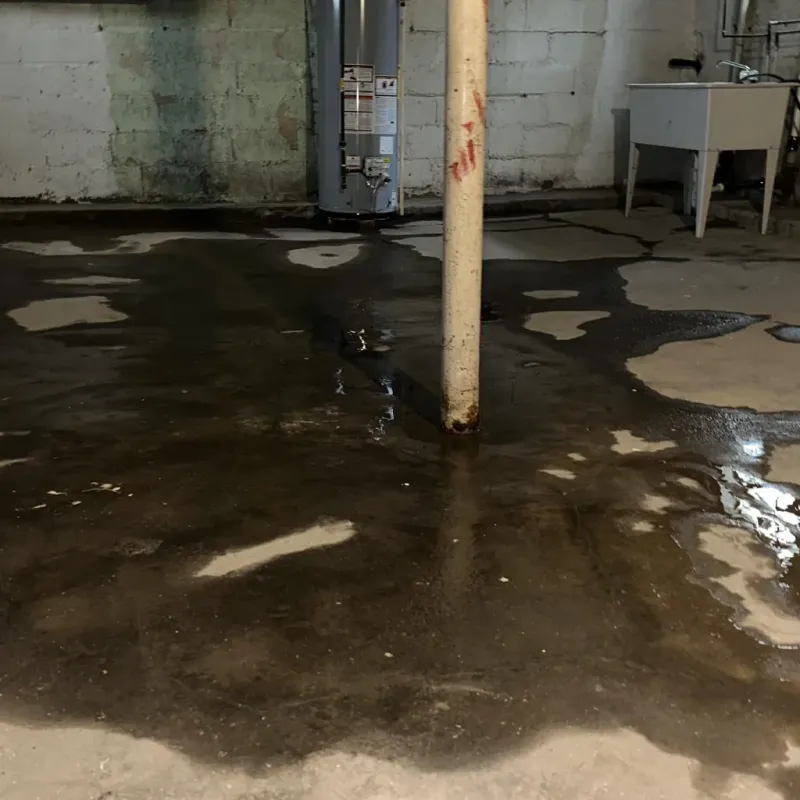 Emergency Water Extraction And Removal in Rangely, CO